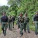 Más de dos mil efectivos de los cuerpos de seguridad resguardan la frontera en el Táchira