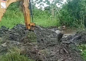 Gobernación del estado inició limpieza de drenajes en La Ceiba
