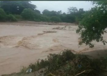 Río Motatán sigue amenazando a fincas y productores del municipio La Ceiba