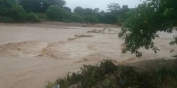Río Motatán sigue amenazando a fincas y productores del municipio La Ceiba