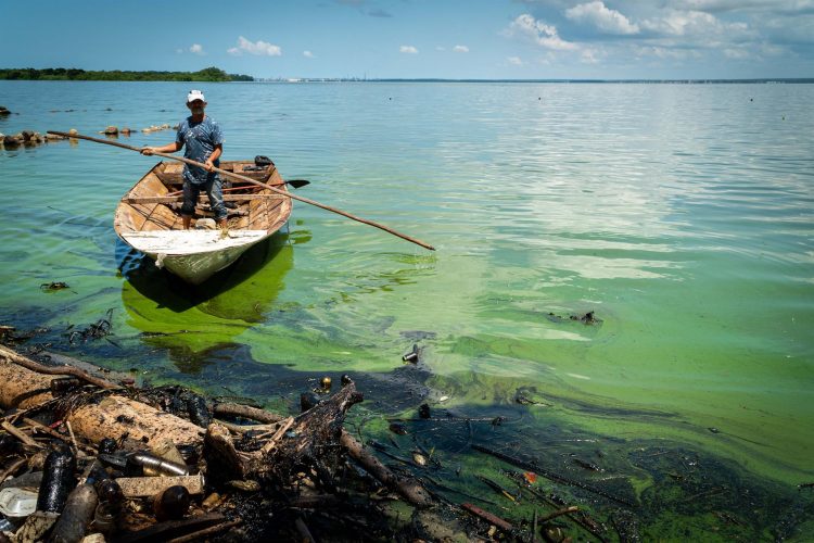 Fotografía de manchas de petroleo el 20 de octubre del 2022, en el Lago de Maracaibo (Venezuela). EFE/Henry Chirinos