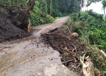Denuncia Esteban Vargas: en completo abandono vialidad del municipio Candelaria