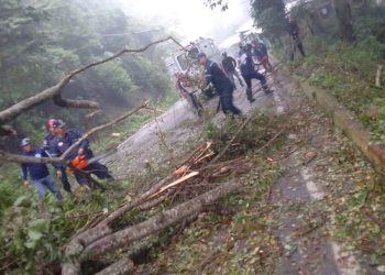Fuertes precipitaciones ocasionan derrumbes en diferentes puntos del estado Trujillo