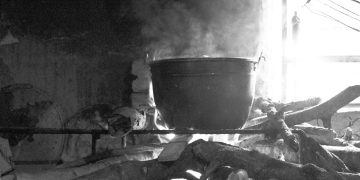 352 años de Carvajal | Las Mesetas de Chimpire | Por: Edgar “Pérez Jiménez” Salas