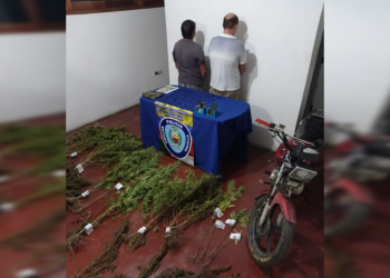Detenidos dos hombres que tenían una plantación y distribución de marihuana en La Quebrada