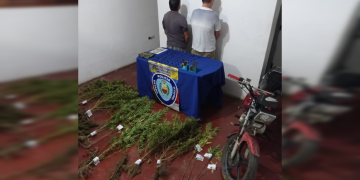 Detenidos dos hombres que tenían una plantación y distribución de marihuana en La Quebrada