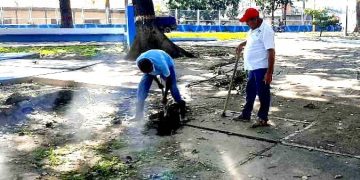 Ejecutan labores de embellecimiento en plaza de Las Banderas en Valera