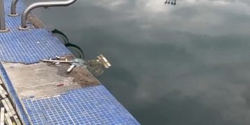 Legislador Alexis Paparoni rechaza la idolatría y culto a una persona con dinero público