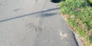 Falla de borde alerta a conductores en la Panamericana