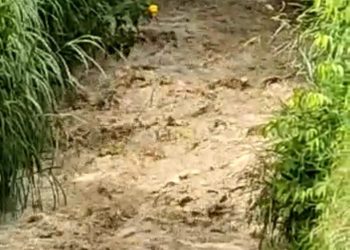 Las lluvias no cesan en Mérida