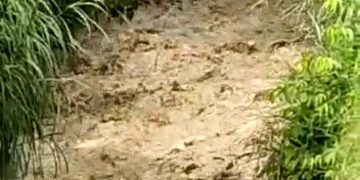 Las lluvias no cesan en Mérida