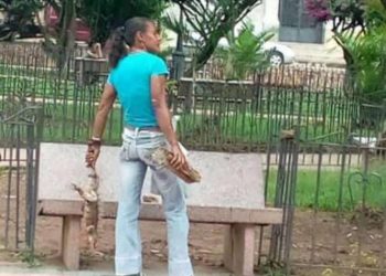 Mujer en Carache mata sin piedad a todas las iguanas de la Plaza Bolívar