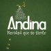 Revista Andina celebrará Navidad con edición especial y un bazar