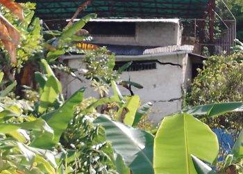 Dos casas en riesgo al abrirse una calle en La Palmita a consecuencia de las lluvias