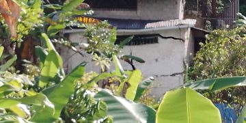 Dos casas en riesgo al abrirse una calle en La Palmita a consecuencia de las lluvias