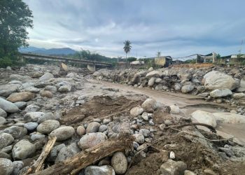 Gobernación de Mérida despeja las vías en la Panamericana