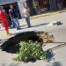 Enorme hueco se abrió en la Avenida Bolívar de Valera
