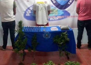 Policía Estadal detienen a hombres con matas de marihuana en Boconó