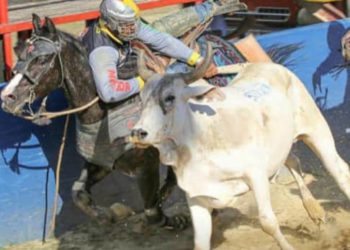 Táchira / Manga de coleo Vicente Elías Ramírez premia a sus espectadores