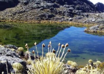 Denuncian daños a ecosistema en el Parque Nacional Sierra de la Culata de Mérida