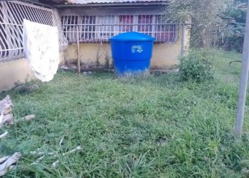 Habitantes de Plata 2 reportan tener 15 días sin servicio de agua potable