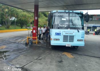 Reactivan rutas de transporte universitario en Mérida a partir de este lunes 30 de enero