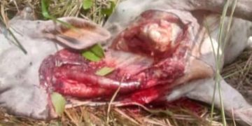 Apula, IPP y Fonprula renovaron el convenio de salud para el año 2023