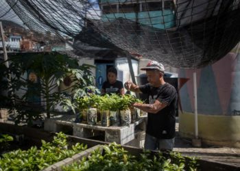 Una marca de café con propósito social, el sueño para un barrio en Venezuela