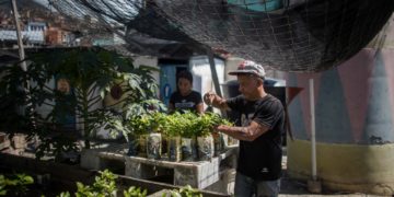 Una marca de café con propósito social, el sueño para un barrio en Venezuela