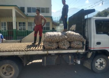 Denuncian que en el Táchira siguen emitiendo guías de movilización a la papa colombiana para venderla como venezolana
