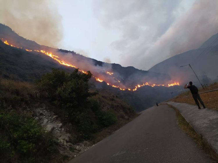 El incendio afectó aproximadamente unas 300 hectáreas de vegetación