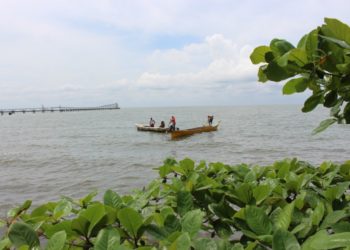 Santa Apolonia: capital del municipio La Ceiba cumple 137 años de su fundación