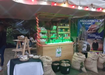 Todo un éxito «Expo Café 2023» en Boconó