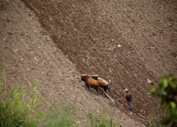 Táchira/ Productores agropecuarios denuncian que pasan  contenedores con contrabando por la frontera