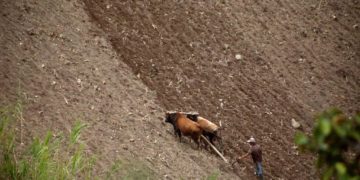 Táchira/ Productores agropecuarios denuncian que pasan  contenedores con contrabando por la frontera