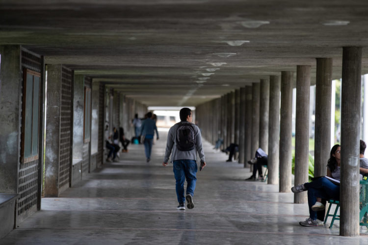 Un estudiante camina por los pasillos de la Universidad Central de Venezuela (UCV), en una fotografía de archivo. EFE/ Rayner Peña R.