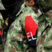 InSight Crime: El ELN es el grupo criminal con mayor presencia en Venezuela