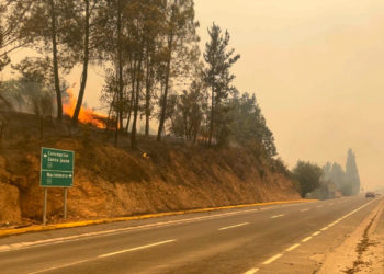 Sube a 22 el número de muertos por los incendios en el centro-sur de Chile