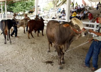Suspenden Exposición Agropecuaria para la Feria del Sol 2023 por falta de condiciones