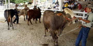 Suspenden Exposición Agropecuaria para la Feria del Sol 2023 por falta de condiciones