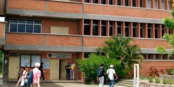 Esperanza de ejercer en el exterior alienta a los jóvenes que buscan su título para emigrar