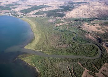 Los conflictos del agua