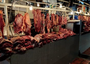 Táchira | Ganaderos denuncian que existen mafias en la red de comercialización de carne 