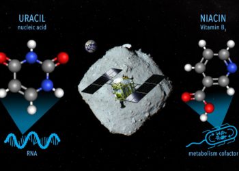 El asteroide Ryugu contiene vitamina B3 y un componente básico del ARN