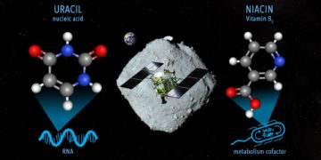El asteroide Ryugu contiene vitamina B3 y un componente básico del ARN