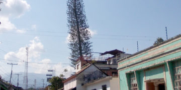 Elegidas autoridades de Un Nuevo Tiempo en Sucre