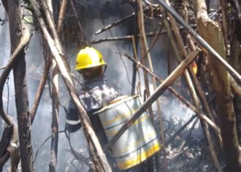 Alerta por las quemas: Incendio de vegetación puso en riesgo vivienda en Boconó