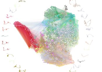 Completan el mapa cerebral de un insecto, un gran avance para la neurociencia