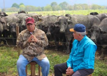 Gerardo Márquez: en Trujillo se invierte para posicionar al estado como el primer productor ganadero de la zona andina