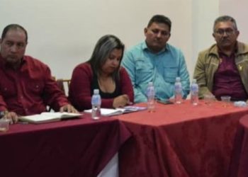 Dirección Regional de Podemos apoya cruzada anticorrupción
